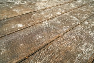 木材，树，抽象，图案，抽象图案，无名氏，宏观，纹理