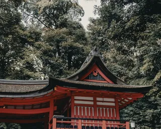 建筑，建筑，崇拜，寺庙，神社，宝塔，屋顶，柱子