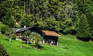 小屋，山地，自然，农村，瑞士，伯尔尼奥伯兰，伯尔尼，工厂