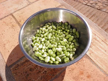 绿色，豆类，不锈钢，钢碗，蚕豆，蚕豆，蔬菜，素食者