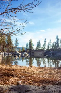 巨石附近的水体