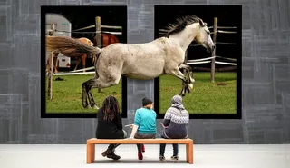 画廊，马，飞奔，展览，图像，艺术，游客，男人