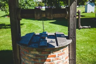 建筑、砖块、覆盖物、日光、草地、户外、夏天、树木