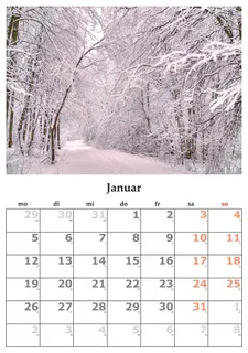 一月日历,日历,月,2015年1月,1月,树,植物,编号 一月日历,日历,月,2015年1月,1月,树,植物,编号