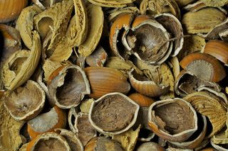 坚果壳，榛子，杏仁，坚果，食用，棕色，食物，美味