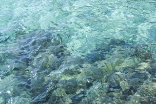 水、海、海洋、表面、背景、纹理、自然、自然