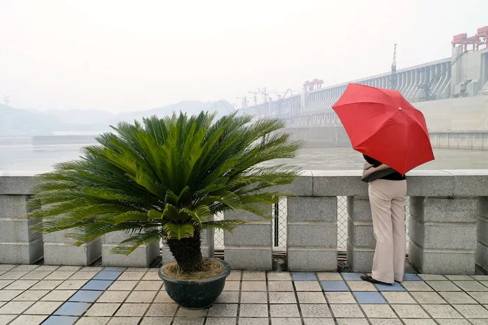 红色、屏风、大坝、植物、遮荫树、阳伞、防护、伞