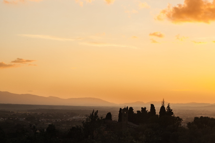 剪影、树木、俯瞰、城市、区域、照片、建筑物、天空