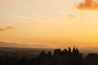 剪影、树木、俯瞰、城市、区域、照片、建筑物、天空