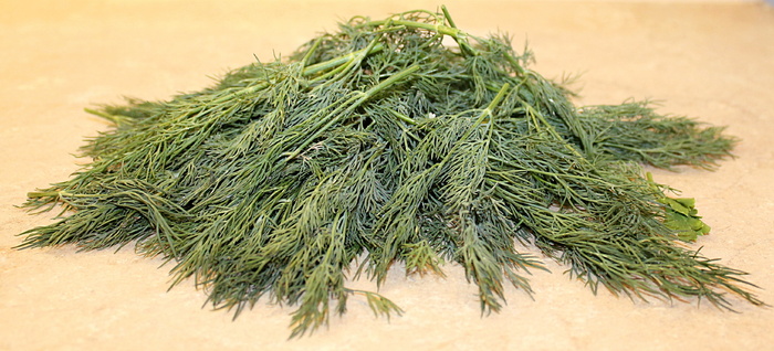 莳萝，莳萝，家庭伞，调味品，烹饪调味品，绿色，植物，树木