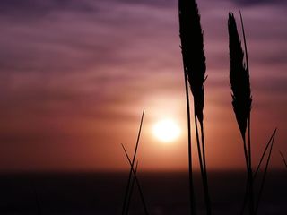 日落，海滩，夏天，假期，水，海，天空，海洋
