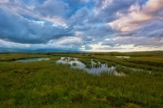 草地和云层形成