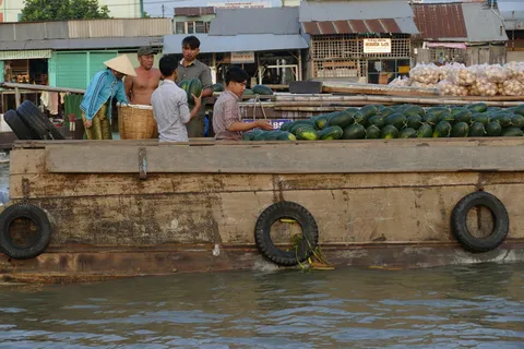 越南,湄公河,湄公河三角洲,乘船旅行,河流,市场,浮动市场,靴子 越南,湄公河,湄公河三角洲,乘船旅行,河流,市场,浮动市场,靴子