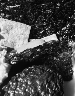 美国、德卢斯、食品、鳄梨、饼干、香草、黑白、质地