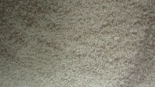 白米，大米，大米，谷物，食品，作物，食用，生