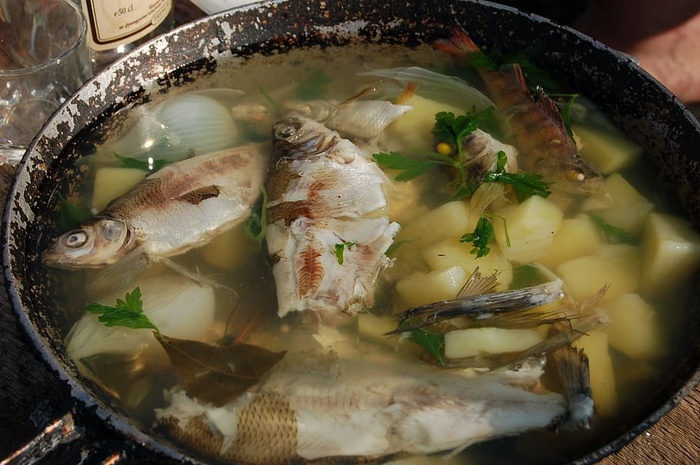 ，汤，鱼，第一餐，食物，第一餐，煎锅