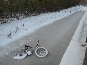 美国，贝灵汉，被盗自行车，自行车，冰冻，冬天，运输，雪