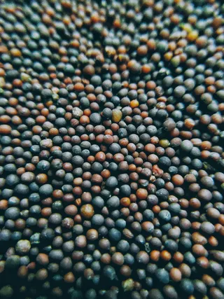 印度，哥印拜陀，第六十字路口，全画幅，丰富，背景，一大群物体，没有人