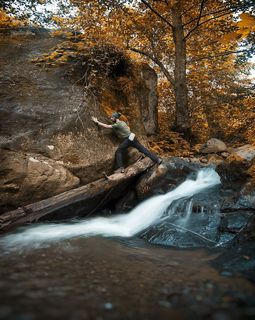 身穿绿色衬衫的男子踩在棕色圆木上