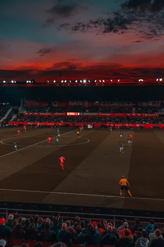 足球场上的球员