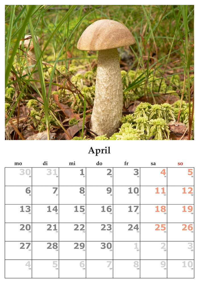日历，月，4月，2015年4月，植物，生长，自然，无人