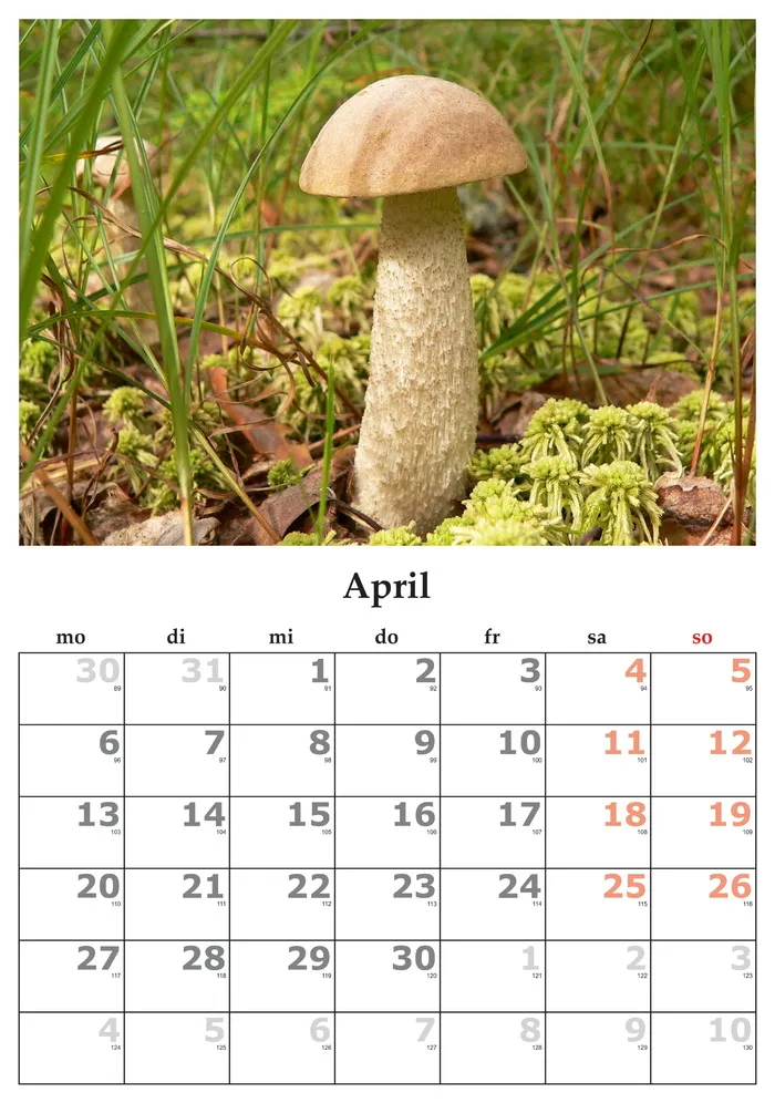日历,月,4月,2015年4月,植物,生长,自然,无人 日历,月,4月,2015年4月,植物,生长,自然,无人
