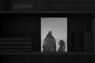 美国，纽约，自然，冬天，设计，最小，出版，雪