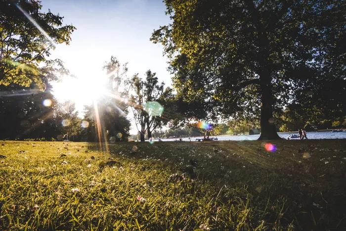 英国，伦敦，皇家艺术学院，寒冷，运动，风，鸟，享受