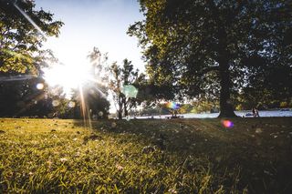 英国，伦敦，皇家艺术学院，寒冷，运动，风，鸟，享受