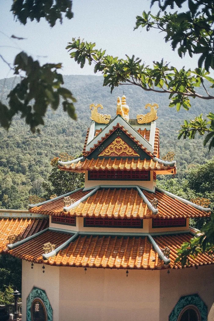 树木环绕的棕色屋顶白色混凝土建筑的航空摄影