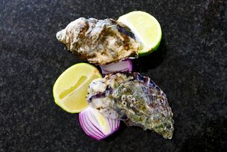 食品，柑橘类水果，水果，植物，牡蛎，海洋生物，动物，柠檬