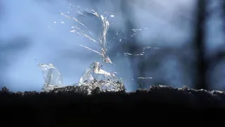 肥皂泡、破裂、快照、透明、破碎、低温、自然、冬季