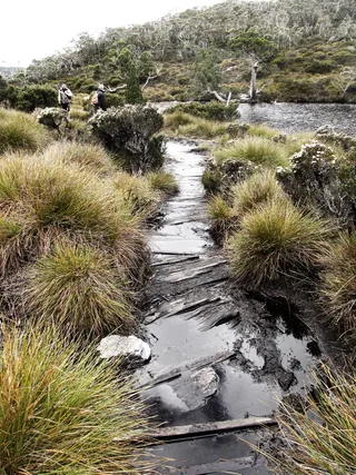 澳大利亚，摇篮山湖圣克莱尔国家公园，流浪癖，远足，徒步旅行，徒步旅行者，破碎，泥泞