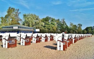 俱乐部，海滩，海洋，假日，夏天，有趣的游泳，波罗的海，树