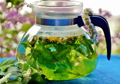 草药,茶,输液,新鲜,草药,饮料,健康,水壶 草药,茶,输液,新鲜,草药,饮料,健康,水壶