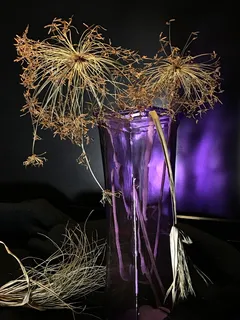 干燥,植物纸草,纸草,自然,装饰,片状植物,肉质花,干叶 干燥,植物纸草,纸草,自然,装饰,片状植物,肉质花,干叶