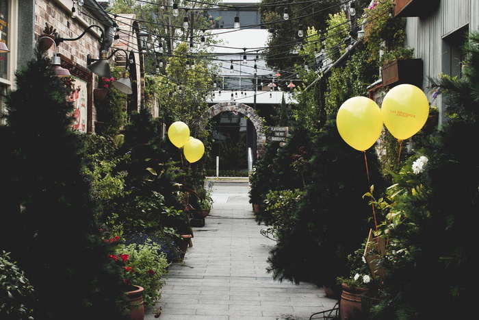 澳大利亚亚历山大港，亚历山大港的庭院，花园，咖啡，寒冷，闲逛，气球