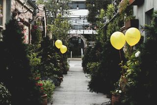 澳大利亚亚历山大港，亚历山大港的庭院，花园，咖啡，寒冷，闲逛，气球