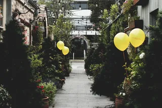 澳大利亚亚历山大港，亚历山大港的庭院，花园，咖啡，寒冷，闲逛，气球