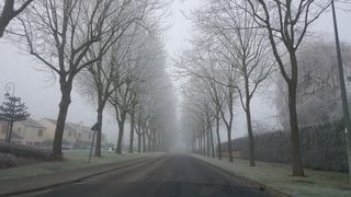 霜冻、冬季、寒冷、雪、凝胶、树木、白霜、景观