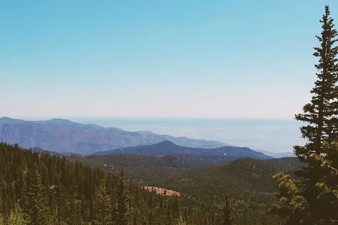 松树,山,风景,山,树,自然,风景,绿色 松树,山,风景,山,树,自然,风景,绿色
