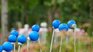 自然，舞会，球场，游戏，户外，圣诞节，白天，圣诞节