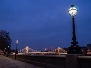 灯柱, 桥梁, 城市, 建筑, 路面, 夜, 树, 灯