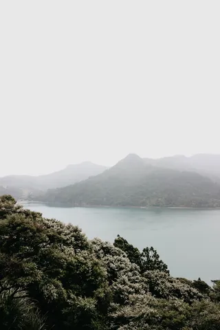 被雾包围的水体和山脉