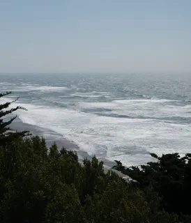 海滩波浪穿过树木照片 海滩波浪穿过树木照片