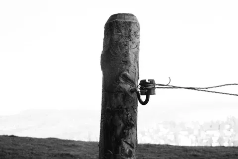 绑在柱子上的电缆线