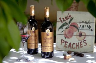 透明酒杯旁的两个红酒瓶