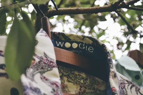 文字、悬挂、植物、西文、树木、特写、低角度视图、聚焦前景