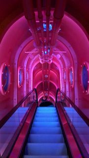 土耳其，sea life i̇stanbul，#shotoniphone，#iphone8plus，#nofilter，#interiordesign，#iamfromistnbl，#ship