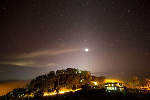 夜晚的森林 夜晚的森林